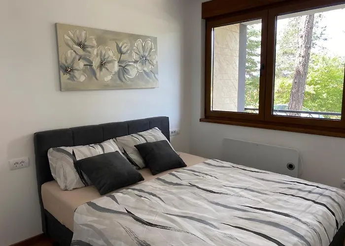 Casa Anja 아파트 *